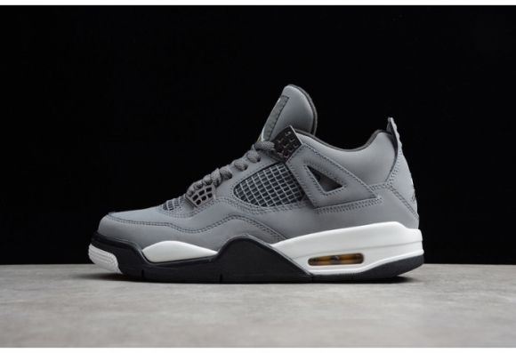 Air Jordan 4 Cool Grey 2019 308497-007